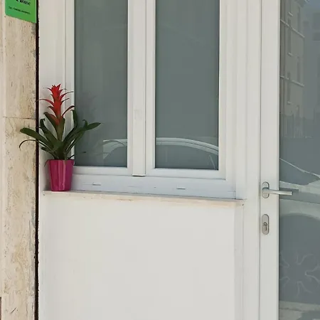 Hily's House